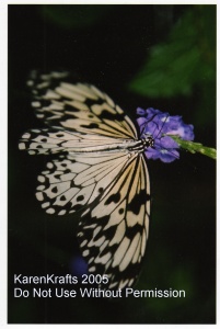 Rice Paper Butterfly