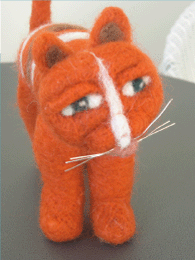 test Picture Here